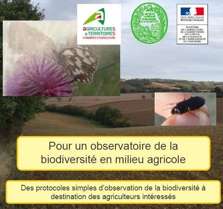 Observatoire de la biodiversité en milieu agricole Vie du réseau 