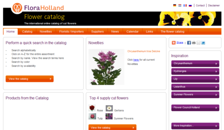 Catalogue fleurs Hollandaises en ligne Horticulture générale 