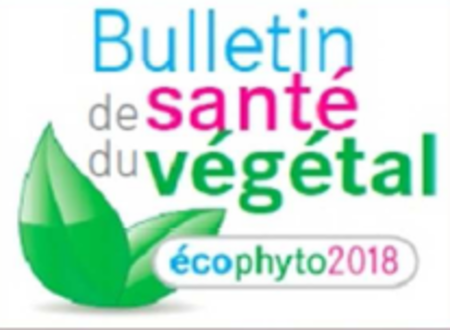 Le Bulletin de Santé du Végétal Horticole N° 83 du 10 decembre 2014 est en ligne Horticulture générale 