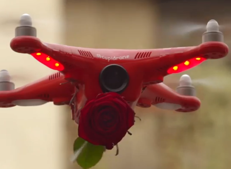 Cupidrone Horticulture générale