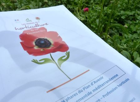 Plan d'avenir de l'horticulture méditerranéenne : un projet de territoire à défendre interventions florisud 