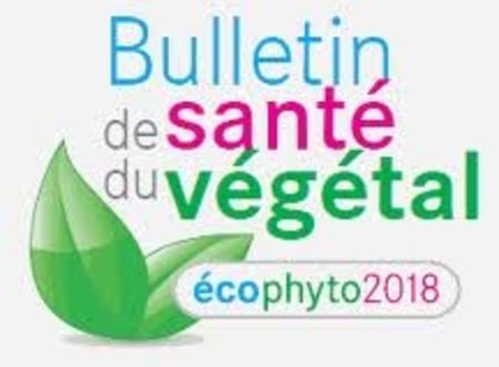 Le Bulletin de Santé du Végétal consacré aux cultures horticoles vient de sortir. Horticulture générale 