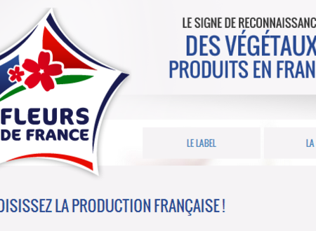 Toute l'info sur le label Fleurs de France en ligne Horticulture générale 