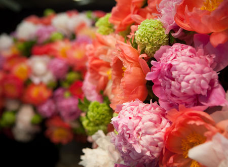 Bonne fête aux mamans ! Horticulture générale