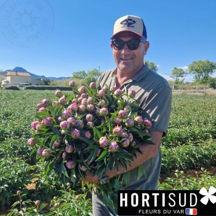 Parole de producteur Hortisud