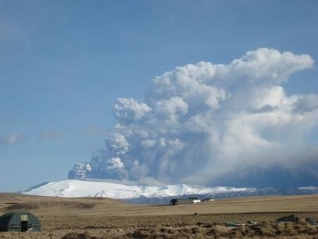 L'effet Eyjaföll Horticulture générale