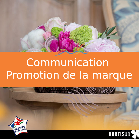 Communication et promotion de la marque