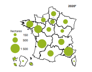 Répartition Horticulture France