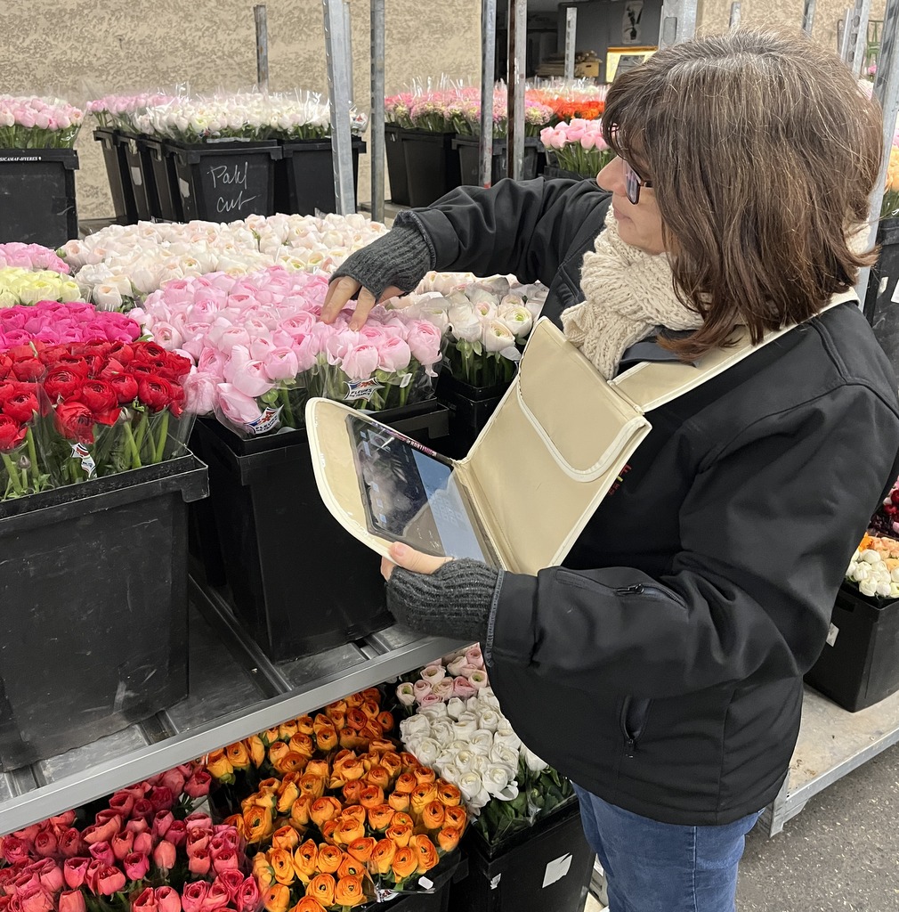 Dveloppement de la qualit Hortisud