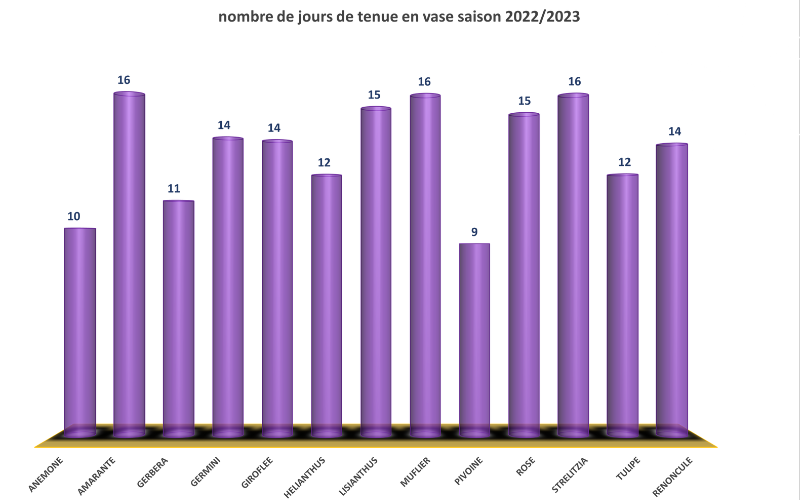 tenue en vase fleurs qualit Hortisud Var France