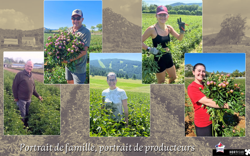 production pivoine en famille